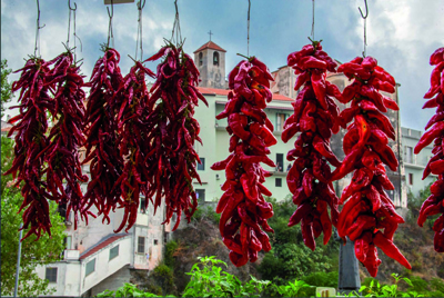 Accademia del Peperoncino. La cultura del piccante in Italia