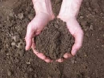 DL competitività: bene approvazione definitiva, norme positive per l’agricoltura in un’ottica di rilancio del settore