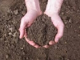 ‘Pagare prima di riscuotere la Pac’. Ecco la nuova disposizione Agea sulle assicurazioni che mette in ginocchio le aziende agricole