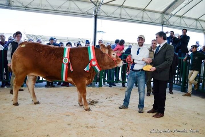 Agriumbria 2015: Innovazione tecnologica e Polo delle Carni Italiane