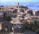 Consorzio Brunello ribadisce condanna atto vandalico a Case Basse