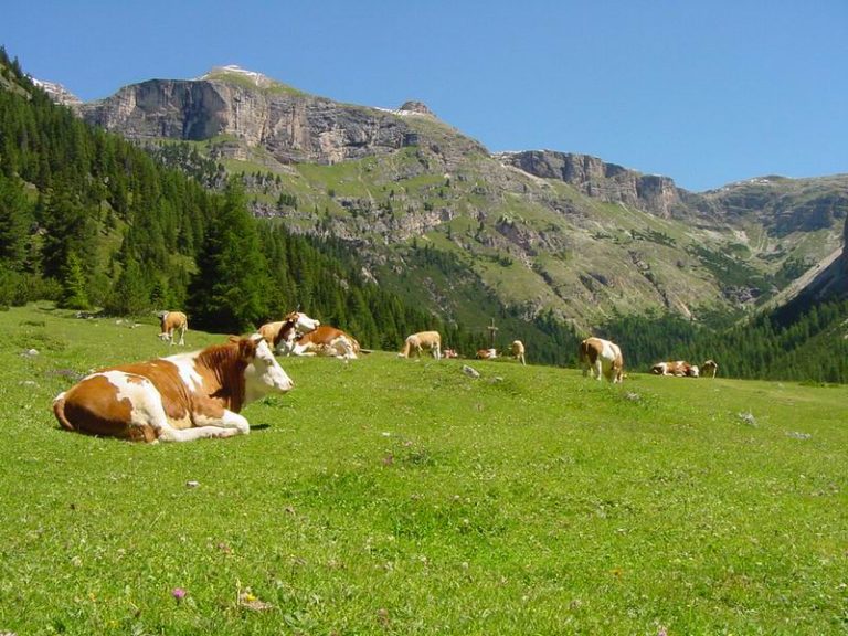 In Lombardia un milione di euro a sostegno delle imprese agricole della montagna