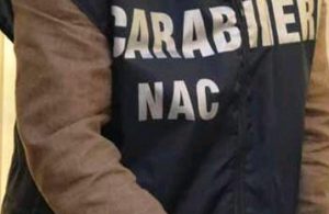 nac_4.jpg