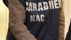 Agropirateria, nel 2013 sequestrati 9308 tonnellate di vino non conforme