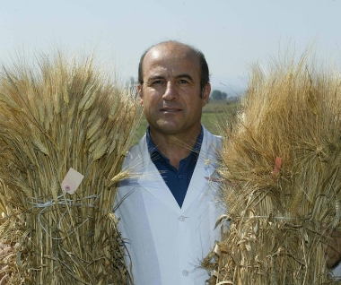 La ricerca scientifica in cerealicoltura ricorda Natale Di Fonzo. Anche con la sua pasta perfetta