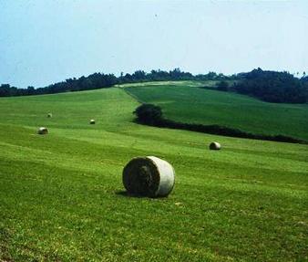 Approvati 10 Psr, in arrivo oltre un miliardo di euro