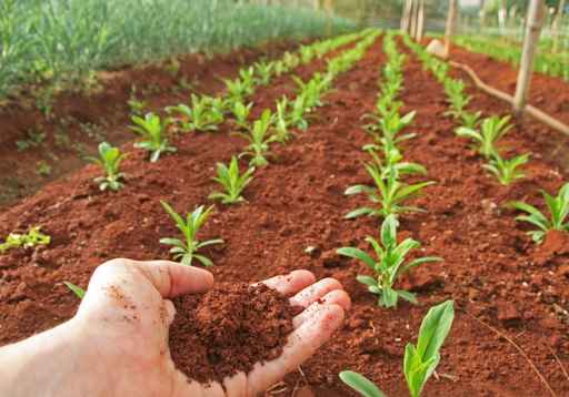 Agrilevante, la bioeconomia circolare protagonista degli eventi ITABIA