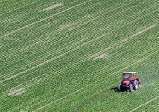 Nitrati, si cerca strategia unitaria. Entro 30 giugno decreto con ministero Ambiente