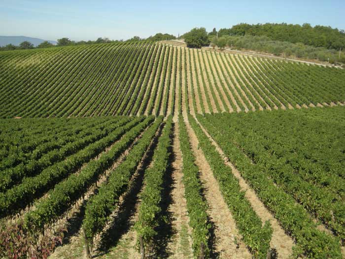 Pro Wein, da Dusseldorf riparte promozione del Nobile di Montepulciano