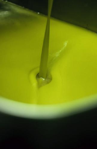 Il mondo scopre a Sol l’olio extravergine di oliva di alta qualità