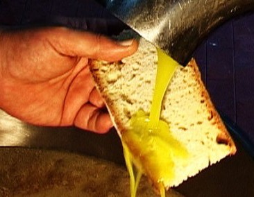 Viaggio fra i frantoi della Toscana. Ecco come sta andando la stagione dell’olio extravergine d’oliva