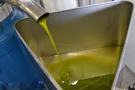Olio d’oliva, nel 2012 export da record per l’Italia