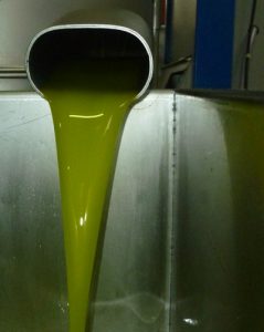 olio_27.jpg