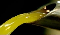 Falso olio DOP Terre di Siena, segnalazione ai NAC ad opera del Consorzio
