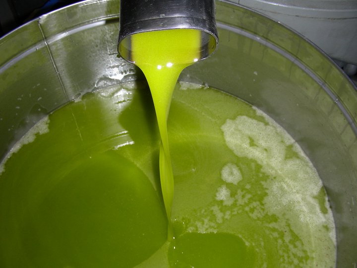 Decreto Sicurezza Energetica. Soddisfatta Assitol: Ora tutelare gli oli vegetali puri