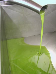 olio_5_1.jpg