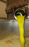 Olio d’oliva, novità UE in arrivo. Ma l’Italia vuole norme antirabbocco