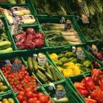Macfrut 2025