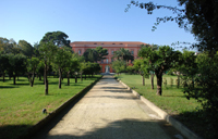 Degustazioni ed itinerari d’archeologia ad Ercolano