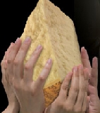 Terremoto, il Consorzio del Parmigiano al Campovolo per dire grazie