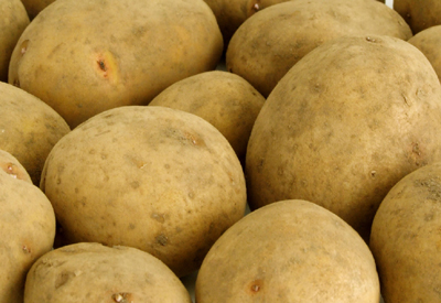 Borsa patate. Preoccupazione per mancanza alternative  al divieto impiego Chlorpropham