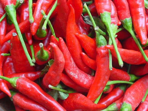 Peperoncino, in Italia più consumatori che produttori. In aumento importazione dall’estero