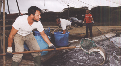 Puglia, Calabria e Basilicata vanno a pesca insieme