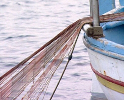 Firmato il Decreto sulla piccola pesca artigianale. Incentivata l’aggregazione fra gli operatori