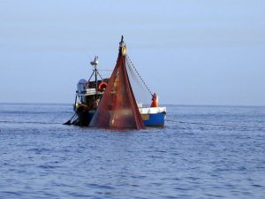 pesca_12.jpg