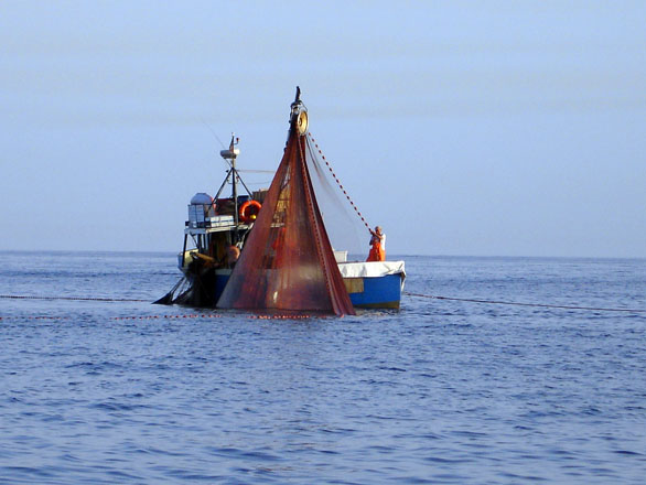 Pescatori autonomi, l’aliquota contributiva per il 2021. La precisazione dell’Inps