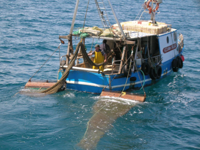 Pesca, assessori di 4 regioni chiedono incontro a Galan