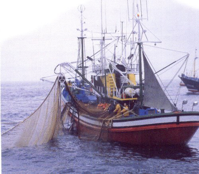 Lucca, tracciabilità del pescato con la carta d’identità per i pesci