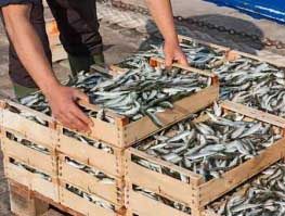 Sapori di mare, a Sperlonga (Lt) fino al 22 settembre