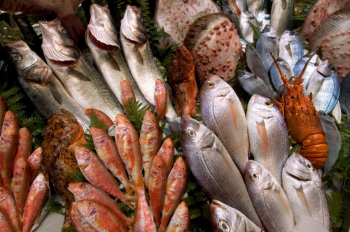 Progetto Sanpei. Crea punta sul pesce bio per le tavole degli italiani