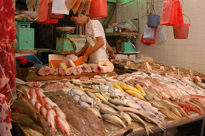 Slow Fish a Genova. Il Pianeta Mare soffre «ma tutti possiamo contribuire a salvarlo»