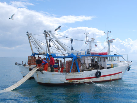Pesca, monito del ministro Catania a rispettare le norme europee