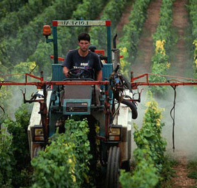 Residui di pesticidi negli alimenti, Italia virtuosa. Tutte le tendenze nei grafici consultabili EFSA