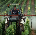 Prodotti fitosanitari, tutela ambiente e salute umana nelle proposte Pan degli Agronomi