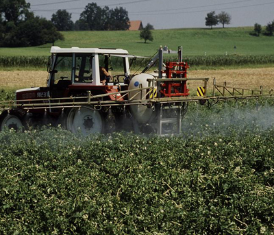 Pesticidi, l’EFSA esaminerà l’uso di emergenza dei neonicotinoidi