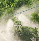 ‘Stop al glifosato’, sigle Bio lanciano la campagna in Italia