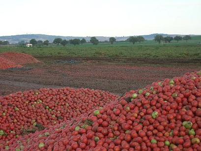 Maremma senza infrastrutture, aziende agricole non competitive. Gli agricoltori Cia scendono in strada sabato 12 ottobre
