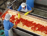 Pomodoro da industria, investire meglio tenendo conto di sostenibilità economica e sociale