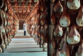 Rischio estinzione per suino italiano da prosciutto Dop