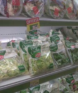 quarta_gamma_verdure_1.jpg