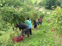 Lavoro, l’agricoltura in controtendenza. L’occupazione cresce del 6,2 per cento