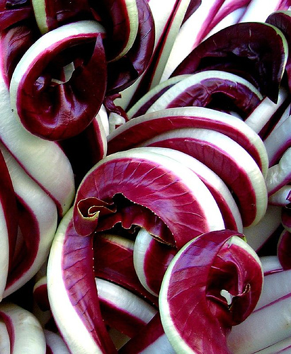 L’ottimo connubio tra Radiccio trevigiano e Curcuma