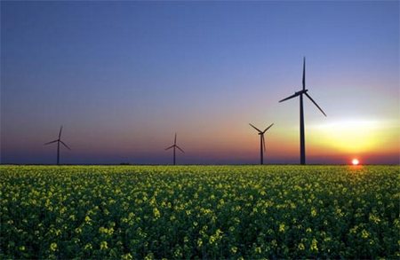 Agronomi e Forestali in prima linea su rinnovabili in agricoltura