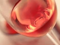 Rosato pugliese la scelta vincente. + 122% di produzione in tre anni