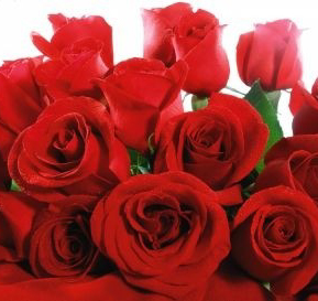 San Valentino, solo il fiore resiste alla crisi. Ma 2 su 3 sono stranieri