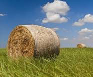 Registro Imprese ed Imprenditore agricolo. Obbligo di iscrizione per il commercio in aree pubbliche
